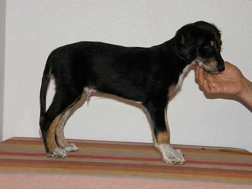 20090426 03